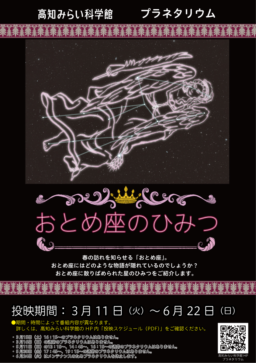番組内容