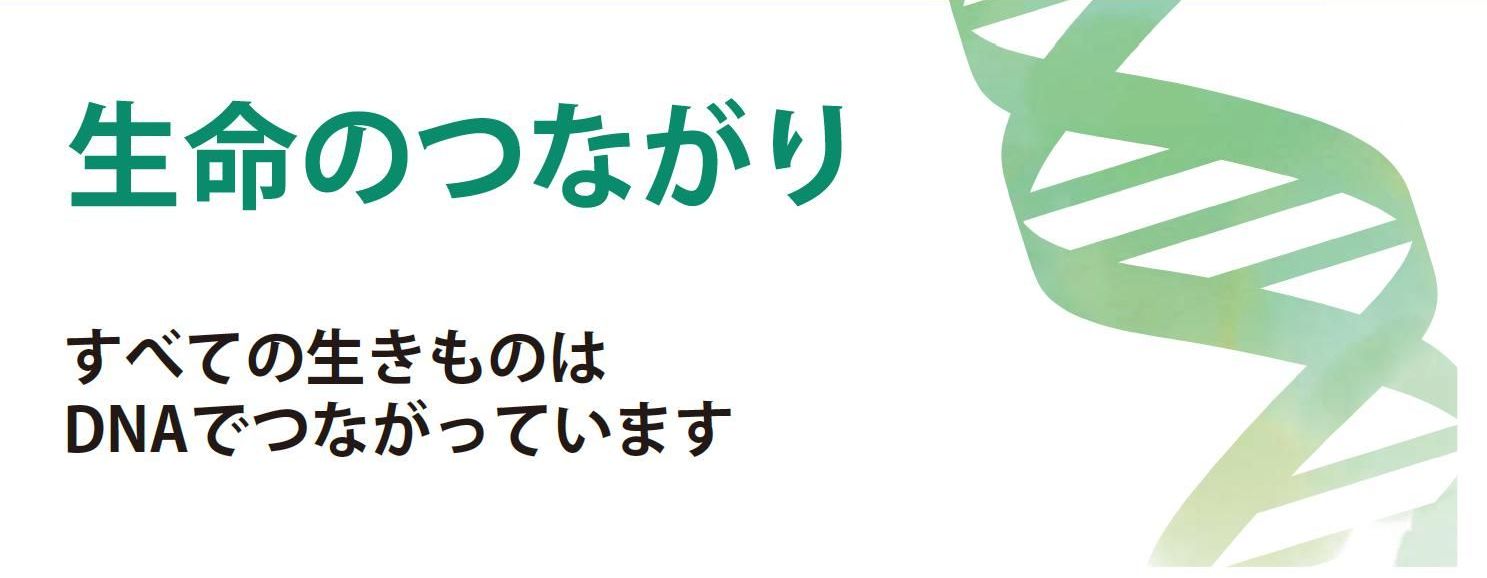 生命のつながり