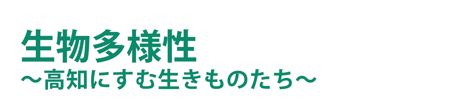 生きものを調べる