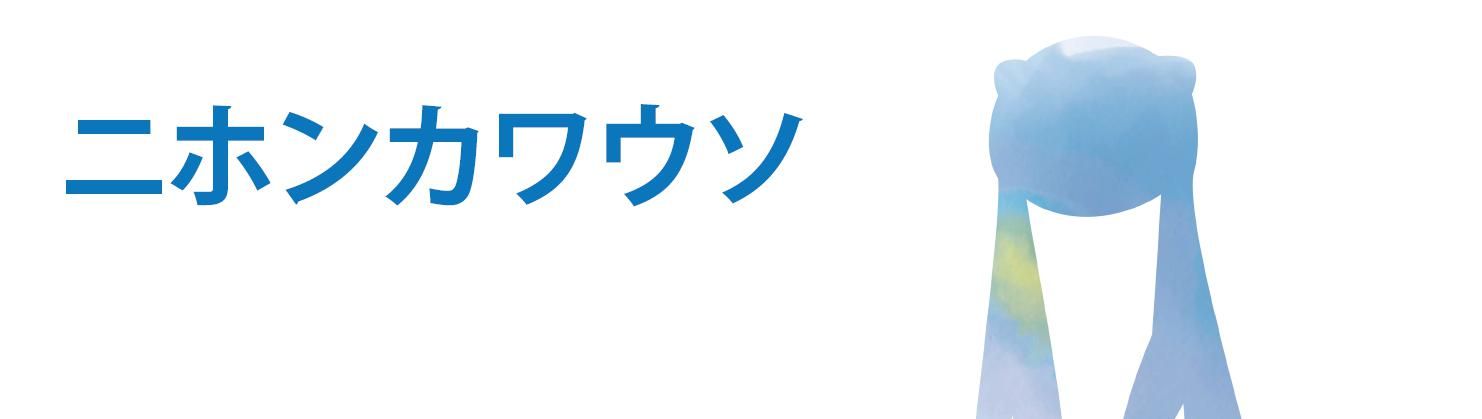 ニホンカワウソ